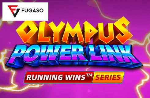 Olympus Power Link